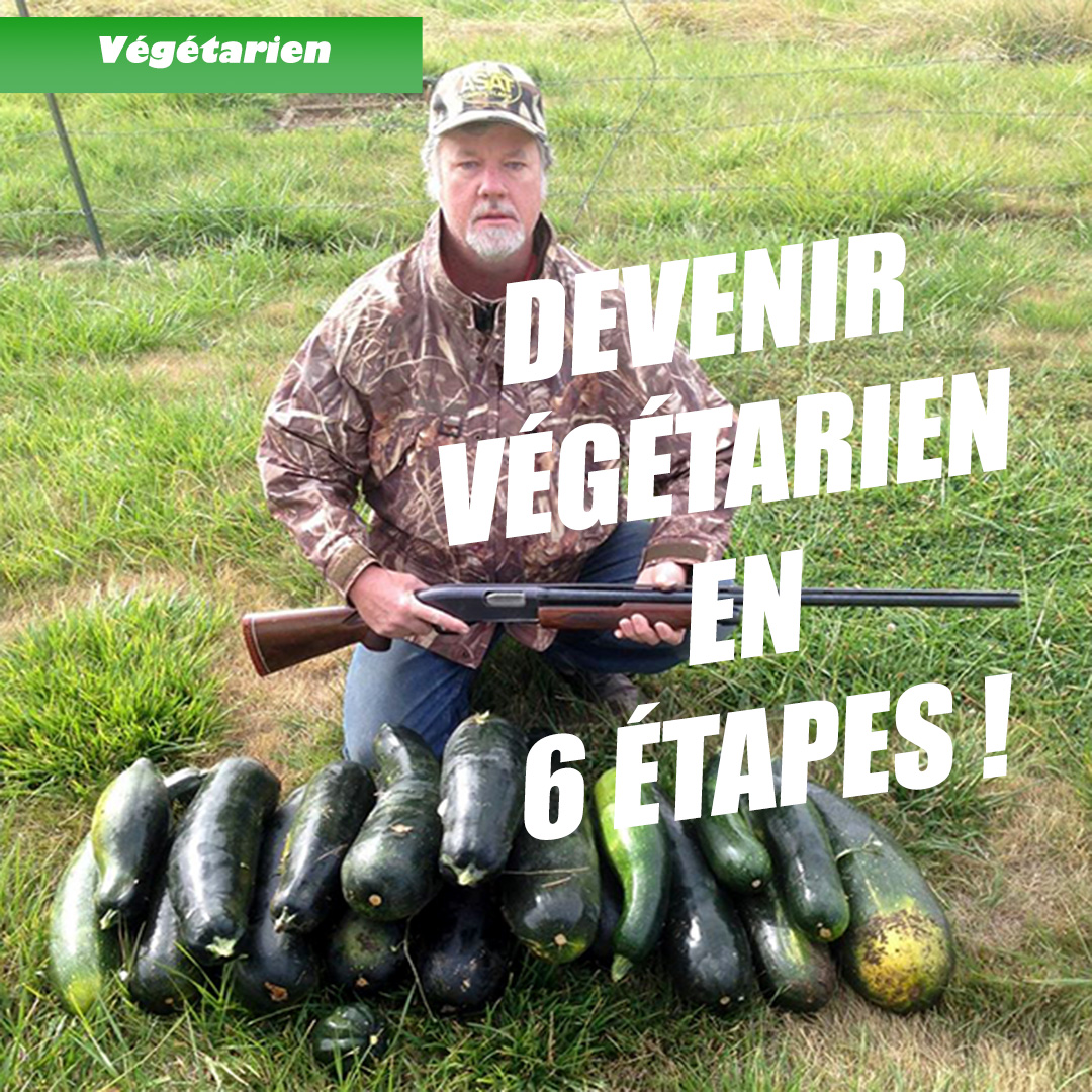 Devenir végétarien en 6 étapes !